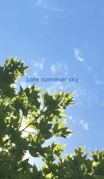 Late Summer Sky 夏の終わりの空 Line着せかえ 360円 オシャレ系