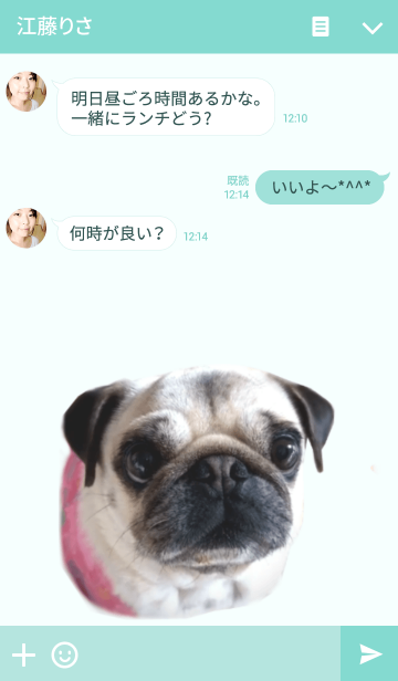 パグ パグ Line着せかえ 360円