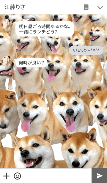 柴犬の日常13 ぎっしり Line着せかえ 360円