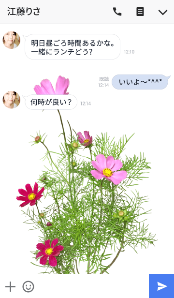 コスモスの着せかえ Line着せかえ 360円