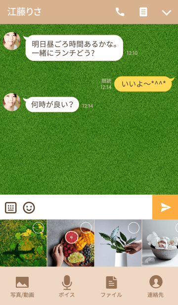 芝生と白い花 Line着せかえ 360円