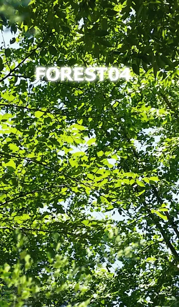 [LINE着せ替え] FOREST-森林04の画像1