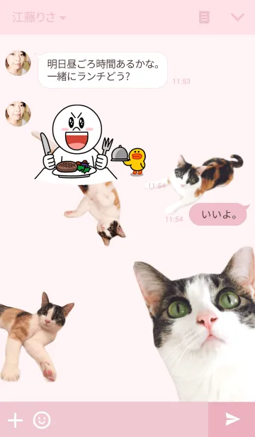 [LINE着せ替え] 三毛猫だらけの画像3