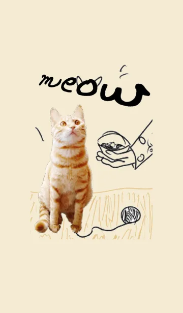 [LINE着せ替え] MEOW~ FEED MEの画像1