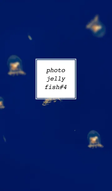 [LINE着せ替え] PHOTO-JELLYFISH#4の画像1