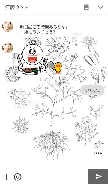 [LINE着せ替え] 植物図鑑の画像3