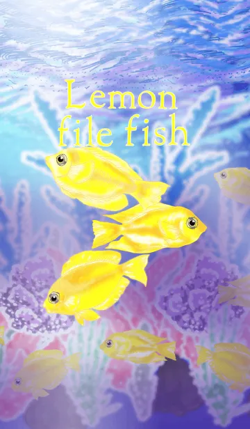 [LINE着せ替え] Lemon file fishの画像1