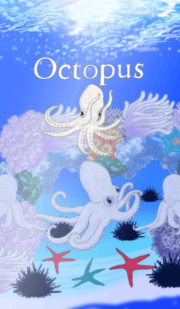 [LINE着せ替え] Octopus..の画像1