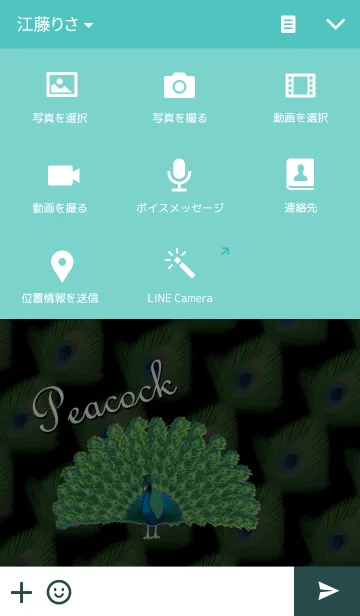 [LINE着せ替え] Beautiful peacockの画像4