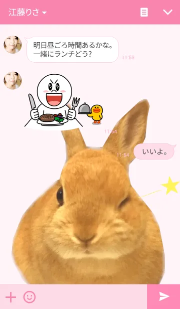 [LINE着せ替え] うさぎのここちゃんの画像3