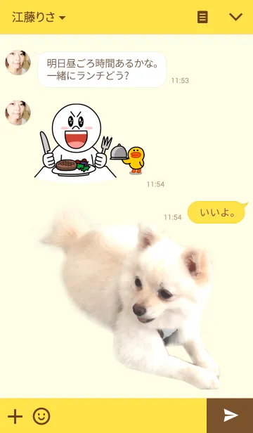 [LINE着せ替え] こまつな White Pomeranianの画像3