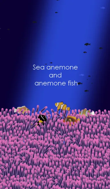 [LINE着せ替え] Sea anemone and anemone fishの画像1