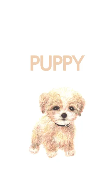 [LINE着せ替え] puppy_01の画像1