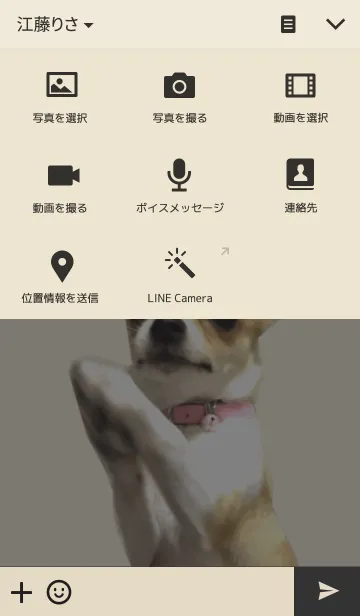 [LINE着せ替え] チワワのゴンベの画像4