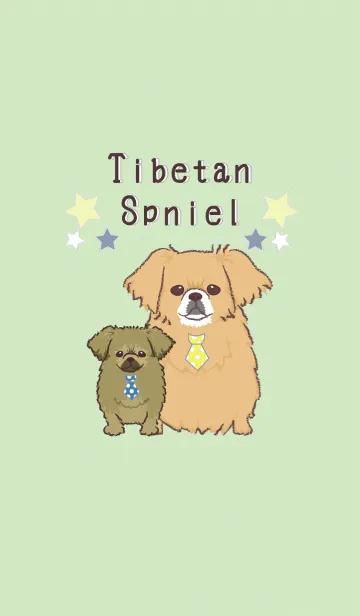 [LINE着せ替え] Tibetan  spanielの画像1