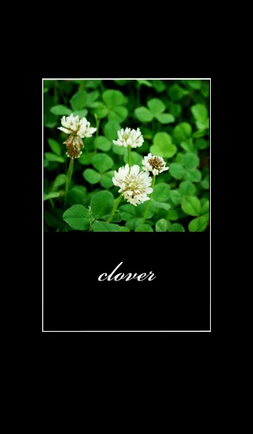 [LINE着せ替え] clover*の画像1