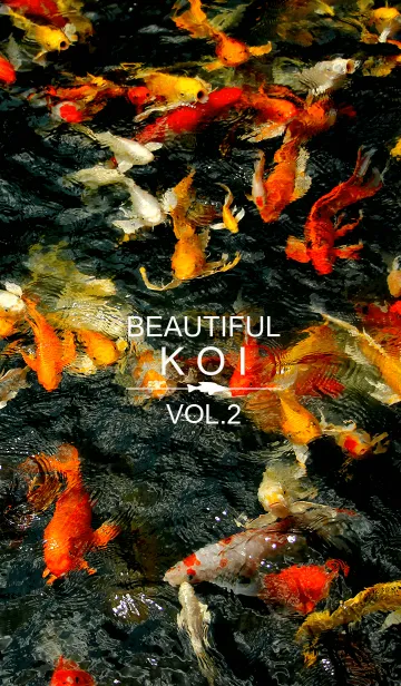 [LINE着せ替え] Beautiful Koi Vol.2の画像1