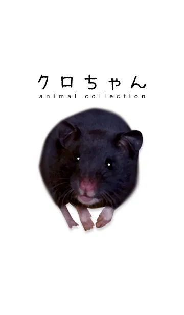 [LINE着せ替え] クロちゃん-animal collection-の画像1