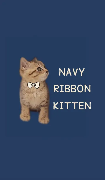 [LINE着せ替え] ♡NAVY RIBBON KITTEN.♡の画像1