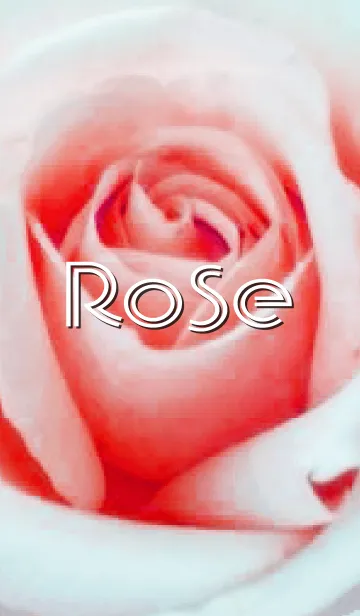 [LINE着せ替え] Sweet Rose 2の画像1