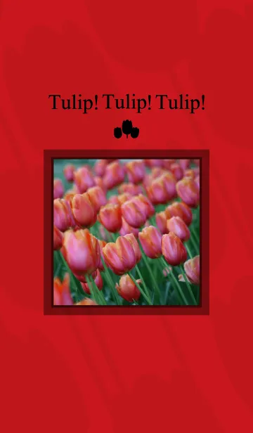 [LINE着せ替え] Tulip！ Tulip！ Tulip！の画像1