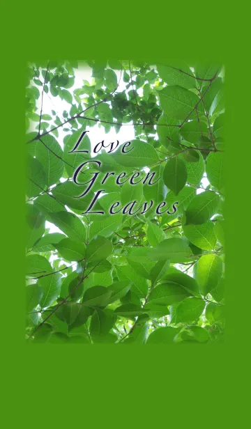 [LINE着せ替え] Love Green leavesー新緑が大好きの画像1