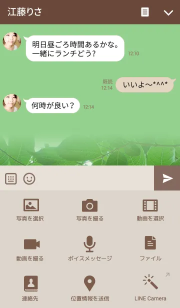 [LINE着せ替え] Love Green leavesー新緑が大好きの画像4