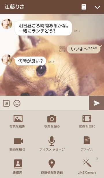 [LINE着せ替え] しばいぬハナコのきせかえ 11【柴犬写真】の画像4