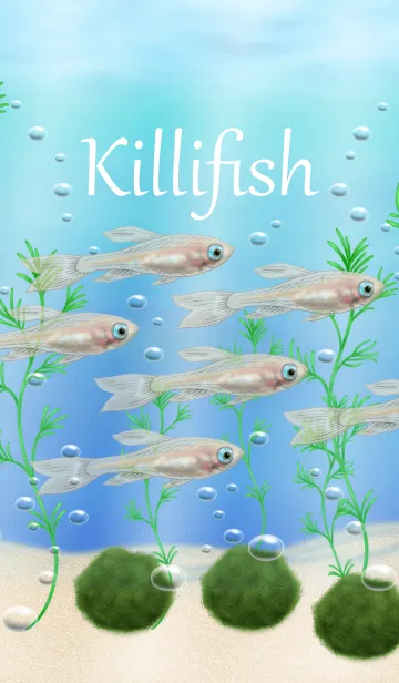 [LINE着せ替え] Killifishの画像1