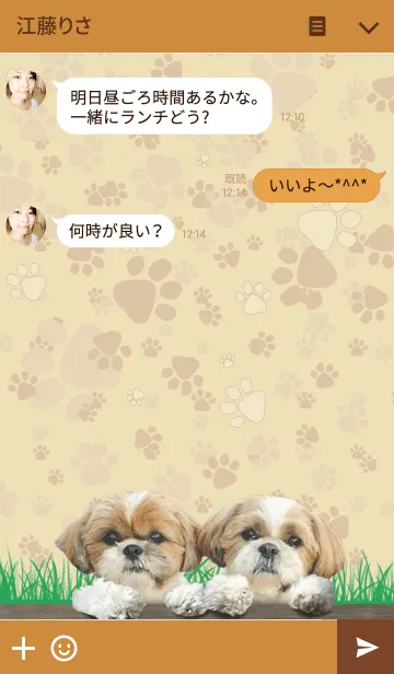 [LINE着せ替え] シーズー犬ぽんずとかぼすの画像3