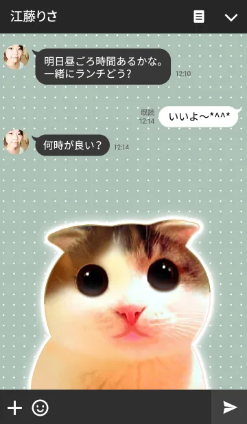 [LINE着せ替え] Cute cat*の画像3