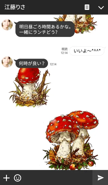 [LINE着せ替え] フライアガリック ベニテングタケの画像3