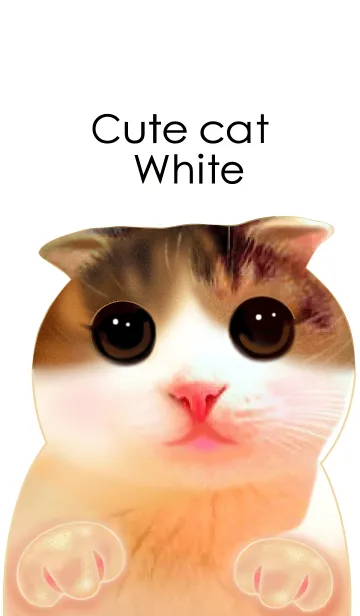 [LINE着せ替え] Cute Cat Whiteの画像1