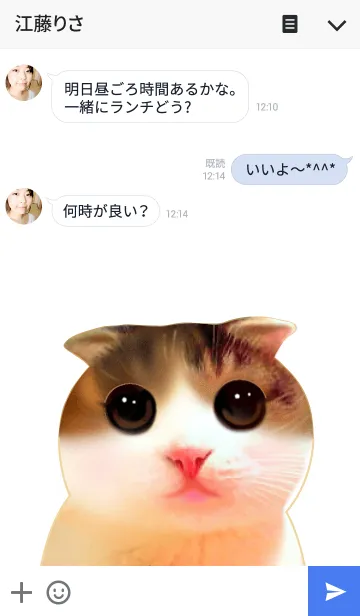 [LINE着せ替え] Cute Cat Whiteの画像3