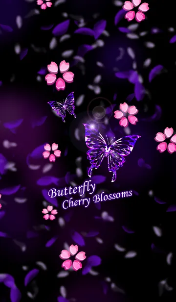 [LINE着せ替え] butterfly Cherry Blossoms.の画像1