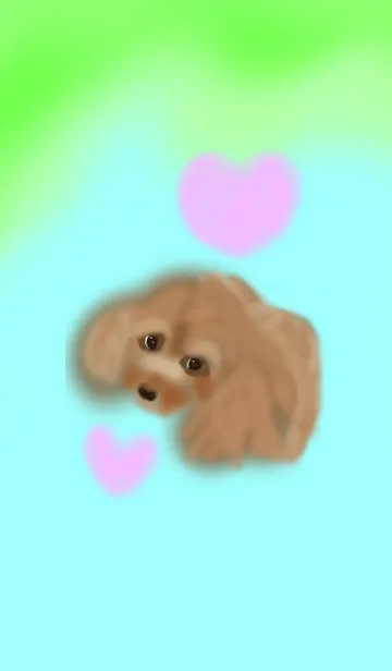 [LINE着せ替え] lovely toy poodle2の画像1