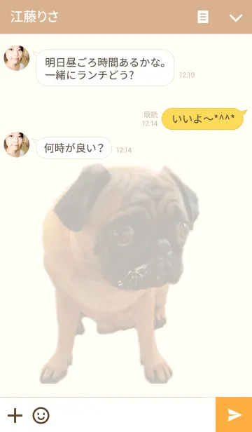 [LINE着せ替え] かわいいパグですの画像3