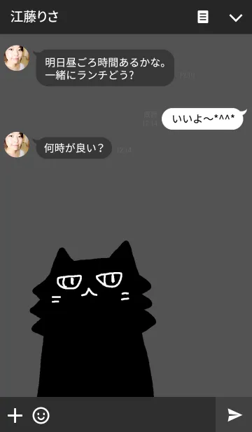 [LINE着せ替え] ブラックキャット グレーの画像3