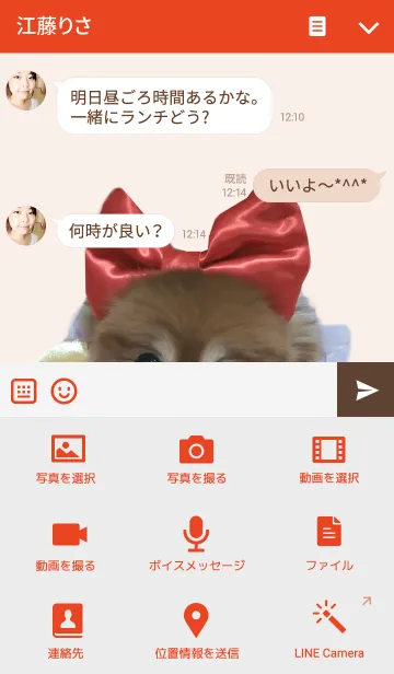 [LINE着せ替え] ポメラニアンDUFFYの犬っぽいっすね！の画像4