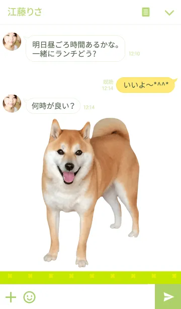 [LINE着せ替え] 柴犬の日常6【クローバー】の画像3