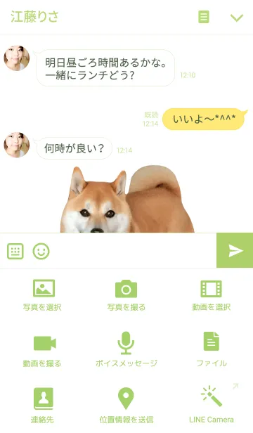 [LINE着せ替え] 柴犬の日常6【クローバー】の画像4