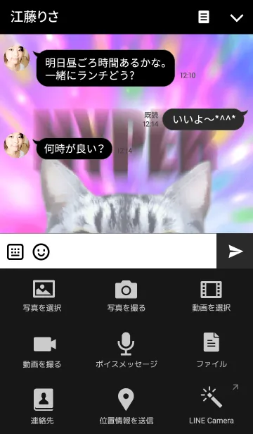 [LINE着せ替え] ハイパー猫ちゃん！の画像4