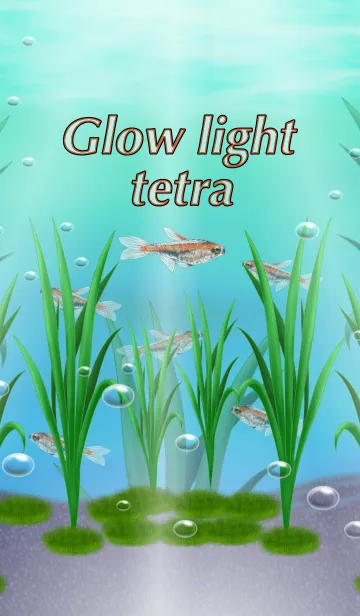 [LINE着せ替え] Glow light tetra.の画像1