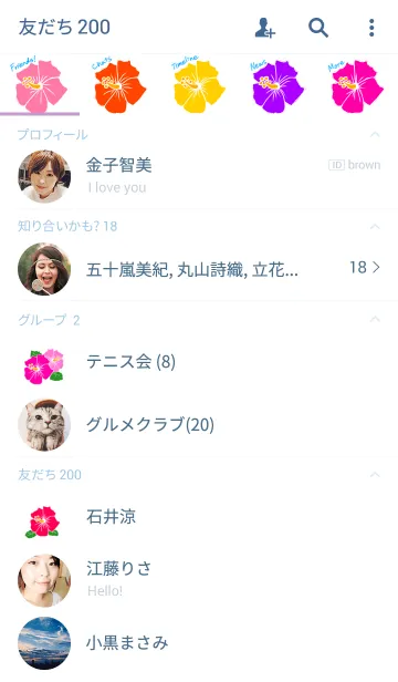 [LINE着せ替え] 【シンプル】ハイビスカス in ハワイの画像2