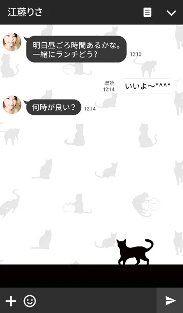 [LINE着せ替え] 黒猫の日常16の画像3