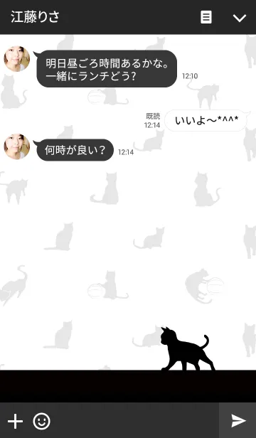 [LINE着せ替え] 黒猫の日常15の画像3