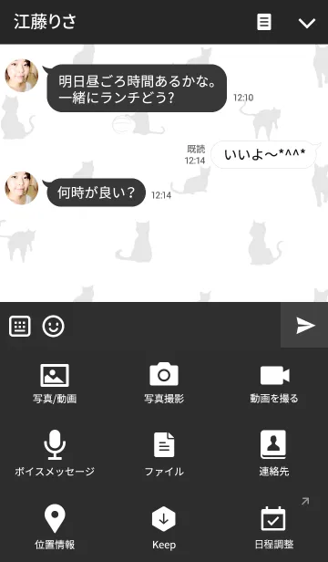 [LINE着せ替え] 黒猫の日常15の画像4