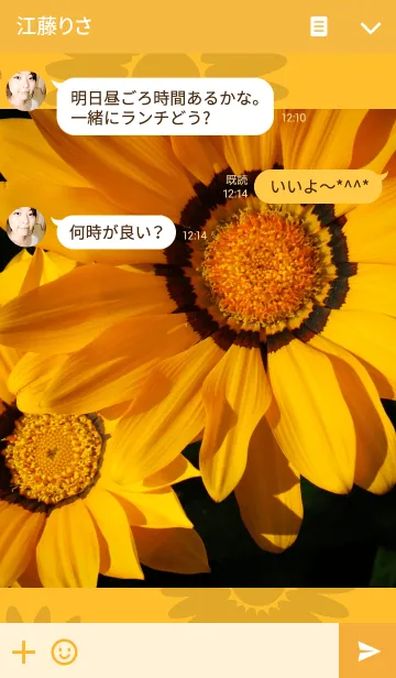 [LINE着せ替え] ガザニア*Gazania*の画像3