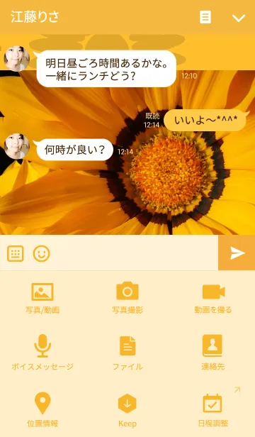 [LINE着せ替え] ガザニア*Gazania*の画像4