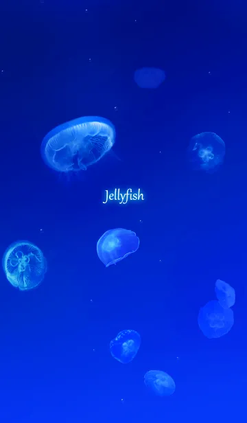 [LINE着せ替え] -Jellyfish-の画像1